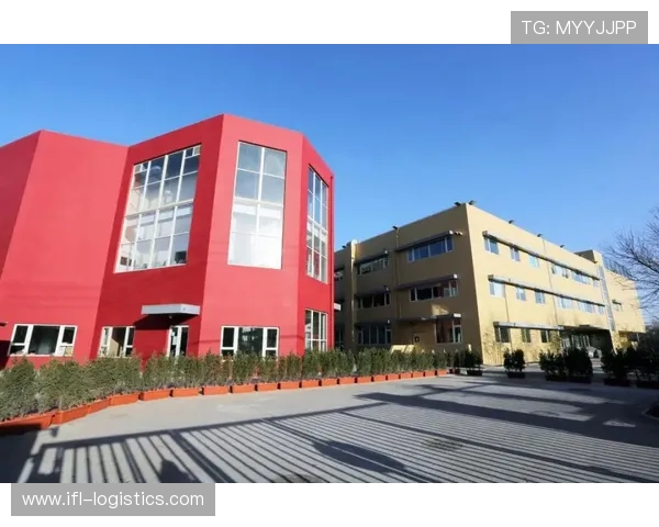 新濠国际：在全球经济环境下实现品牌国际化的关键策略