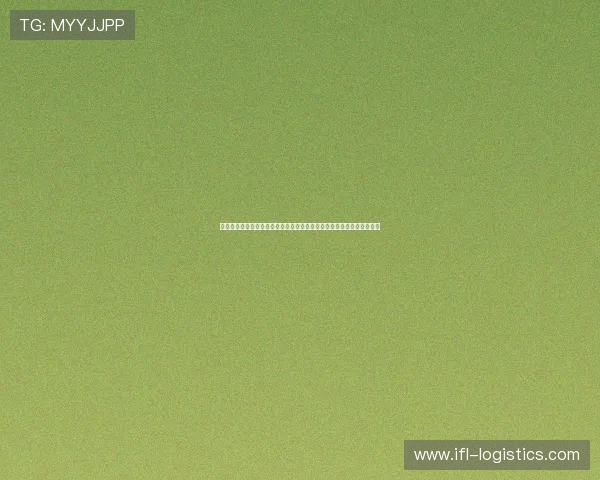 新澳门彩真人版结合世界杯主题设计丰富互动活动增强用户粘性和参与感